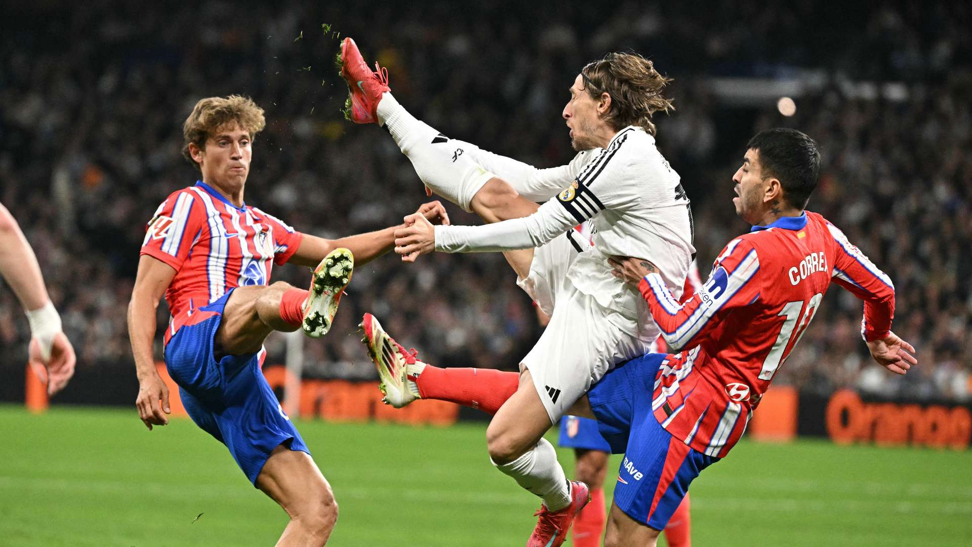 在南极科学 在南极科学