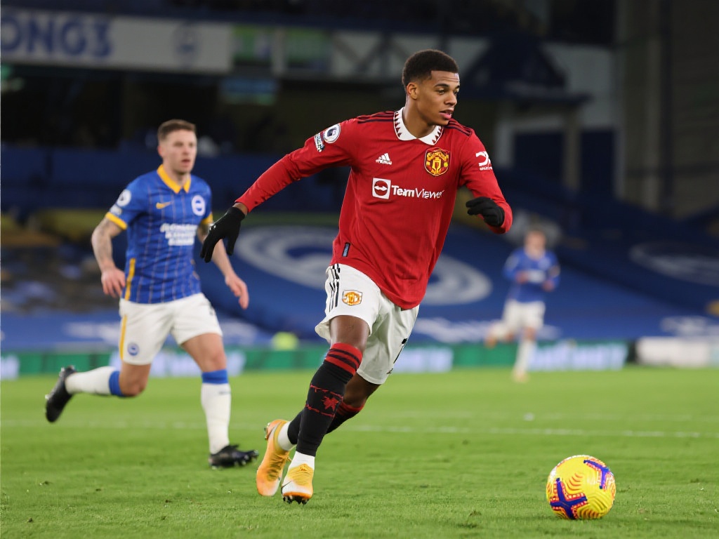 坛的顶尖力 坛的顶尖力